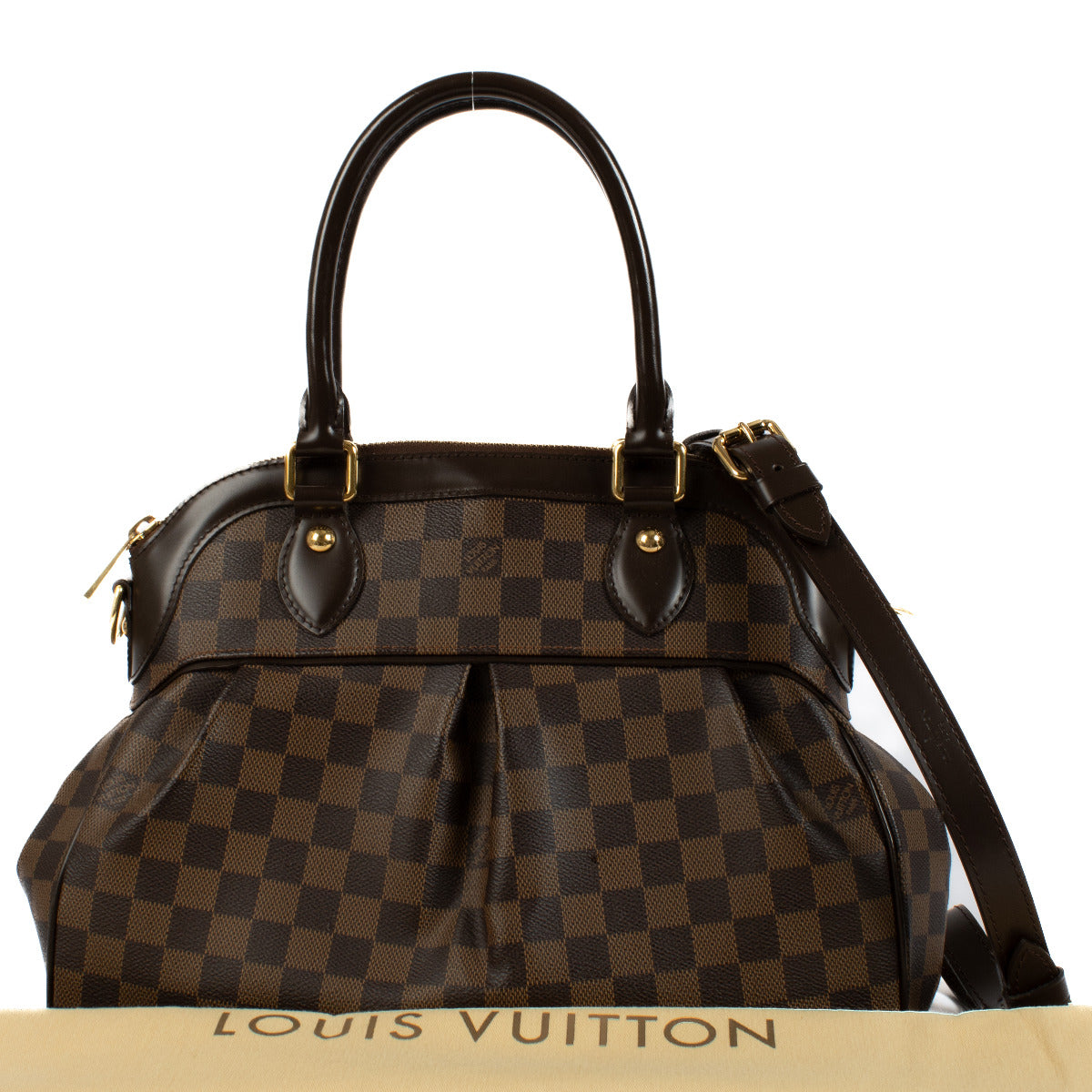 Louis Vuitton Damier Ebene Trevi PM Bag