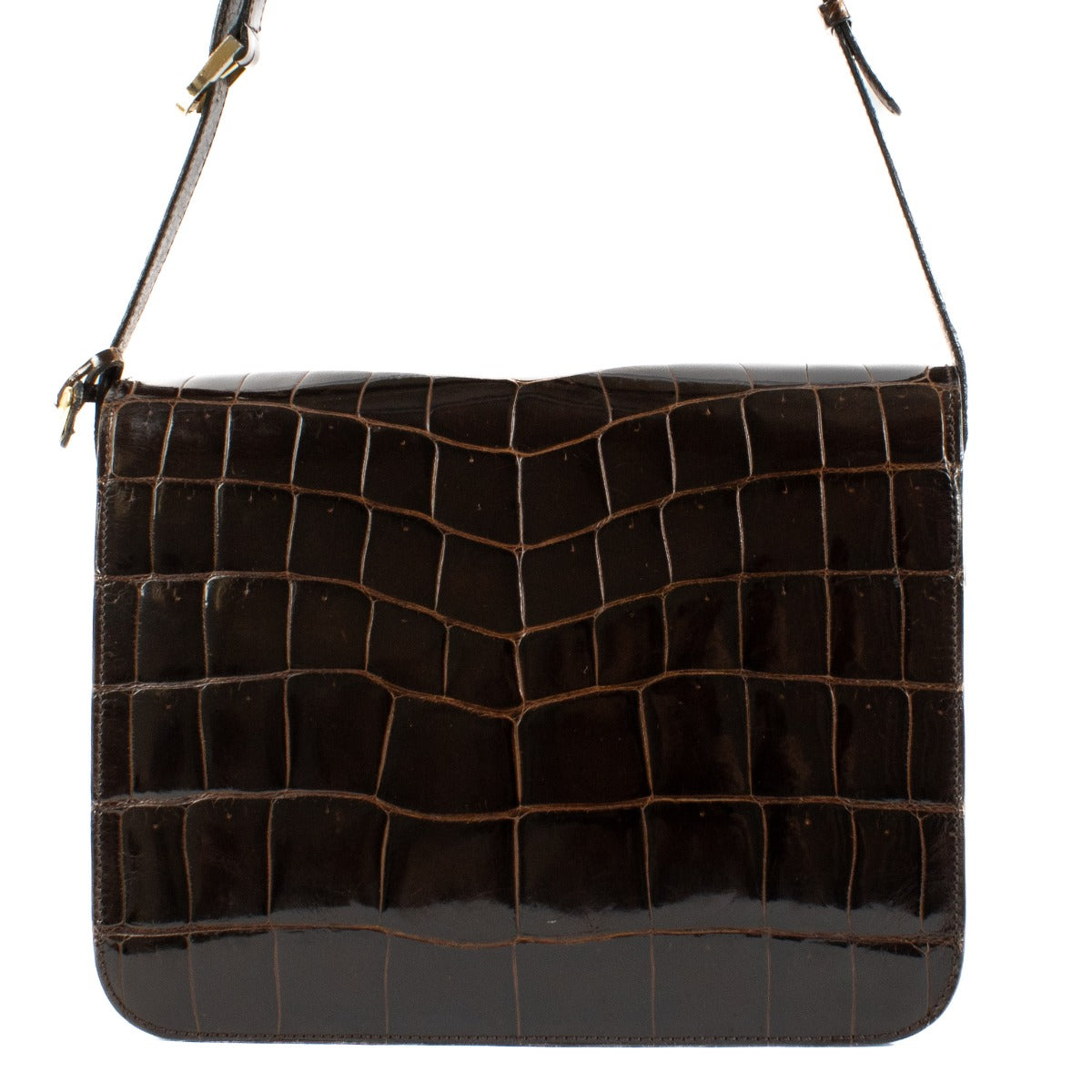 Delvaux Bruine Glanzende Krokodil Bourgogne Tas