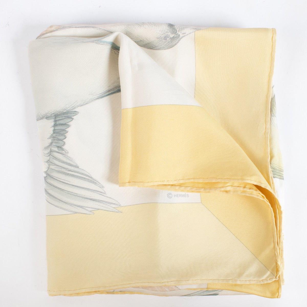 Shop 100% authentic second hand Hermès Sauvagine On Vol Scarf on Labellov.com