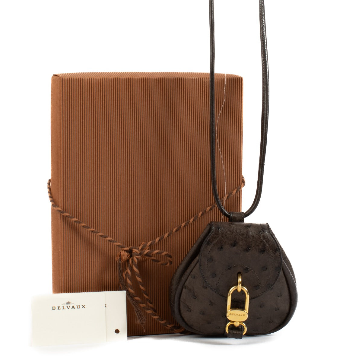 Shop safe online at Labellov in Antwerp, Brussels and Knokke this 100% authentic second hand Delvaux Palissandre Ostrich Mini Cerceau Bag