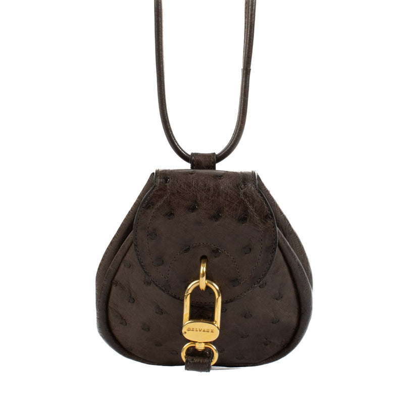 Shop safe online at Labellov in Antwerp, Brussels and Knokke this 100% authentic second hand Delvaux Palissandre Ostrich Mini Cerceau Bag