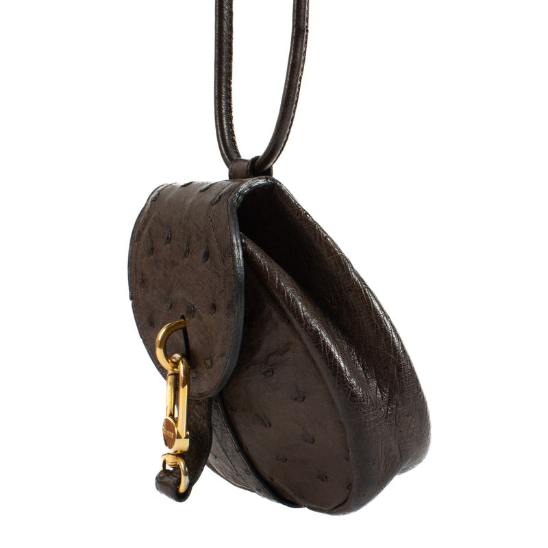 Shop safe online at Labellov in Antwerp, Brussels and Knokke this 100% authentic second hand Delvaux Palissandre Ostrich Mini Cerceau Bag