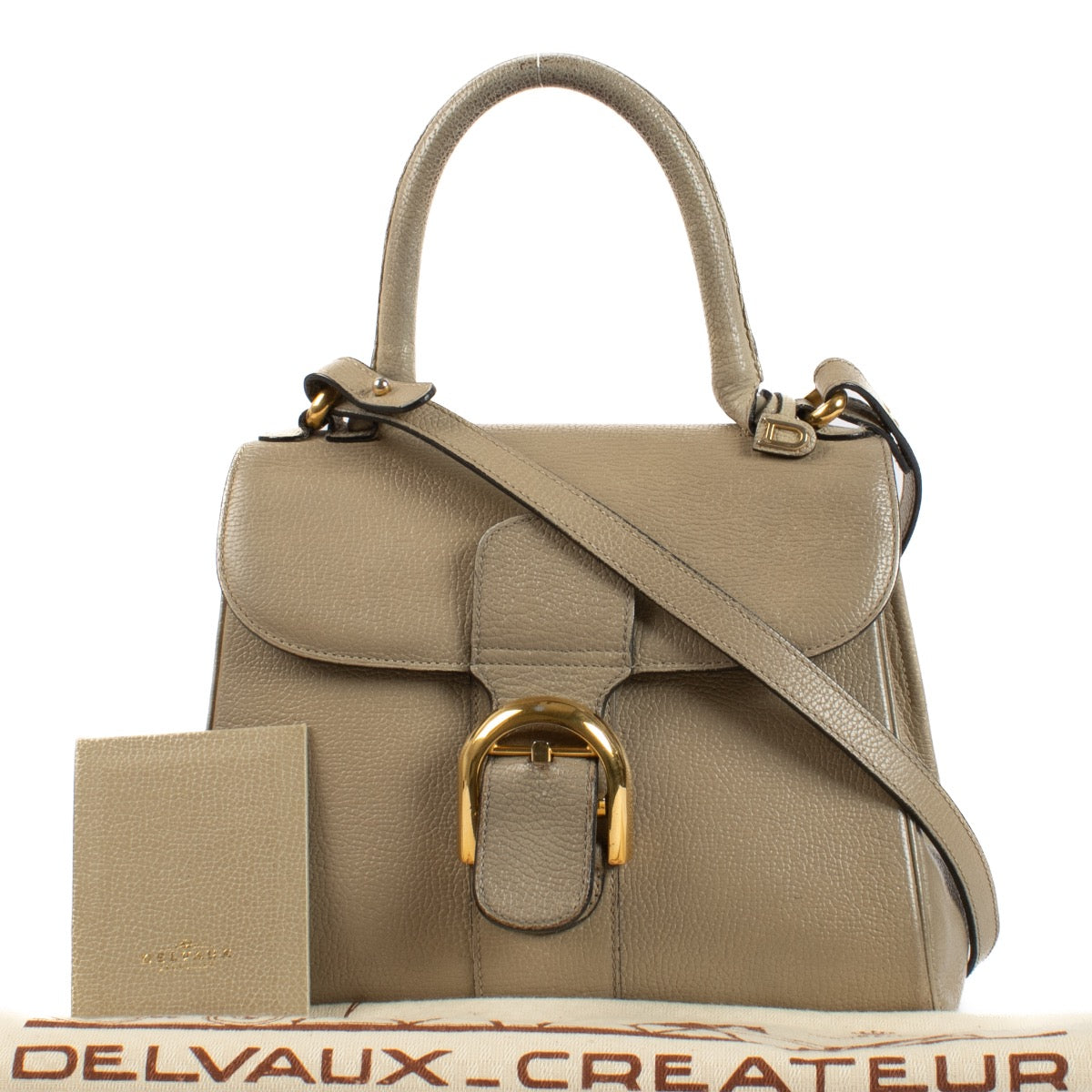 shop 100% authentic second hand Delvaux Taupe Leather Brillant PM Bag on Labellov.com