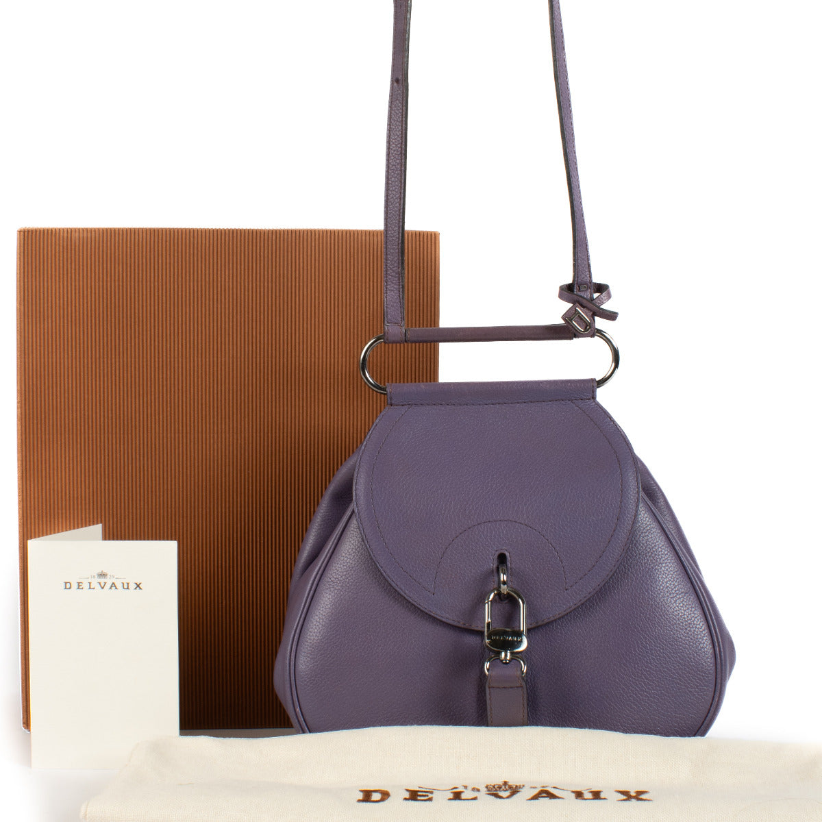 Sac bandoulière Delvaux Parme Trotteur Cerceau PM