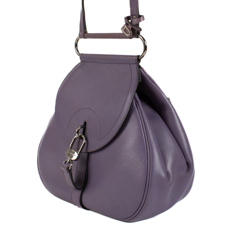 Delvaux Parme Trotteur Cerceau PM Crossbody Bag