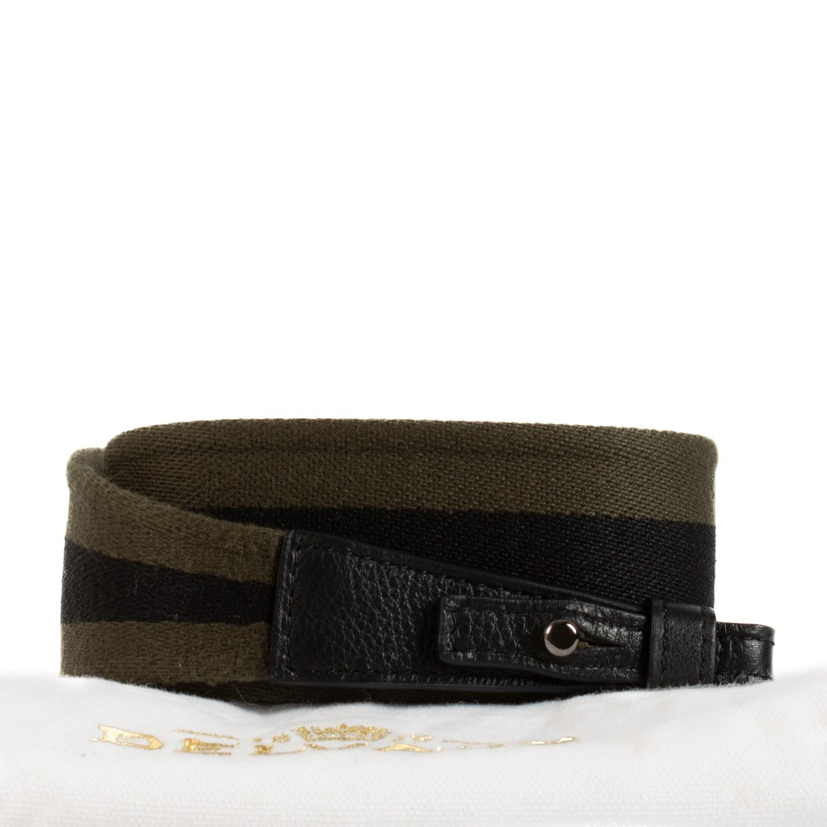 Delvaux Gestreepte Nylon Tasriem