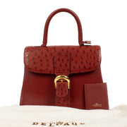 shop 100% authentic second hand Delvaux Red Ostrich Brillant MM on Labellov.com