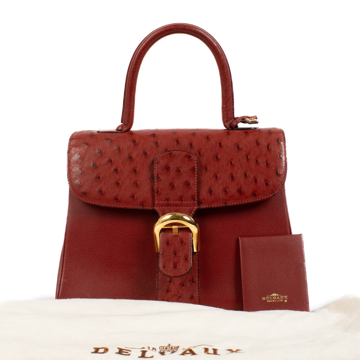 shop 100% authentic second hand Delvaux Red Ostrich Brillant MM on Labellov.com