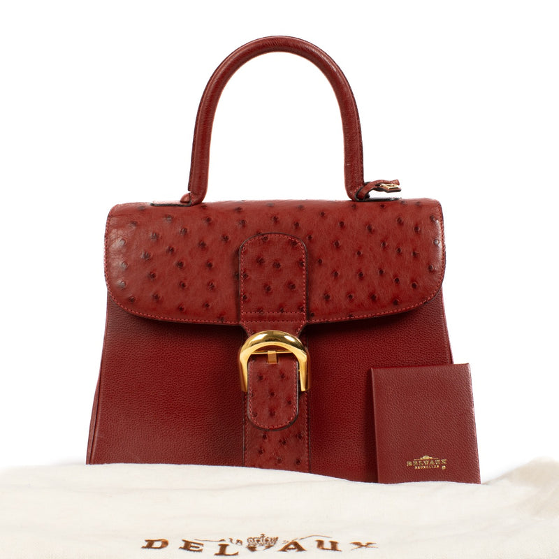 shop 100% authentic second hand Delvaux Red Ostrich Brillant MM on Labellov.com