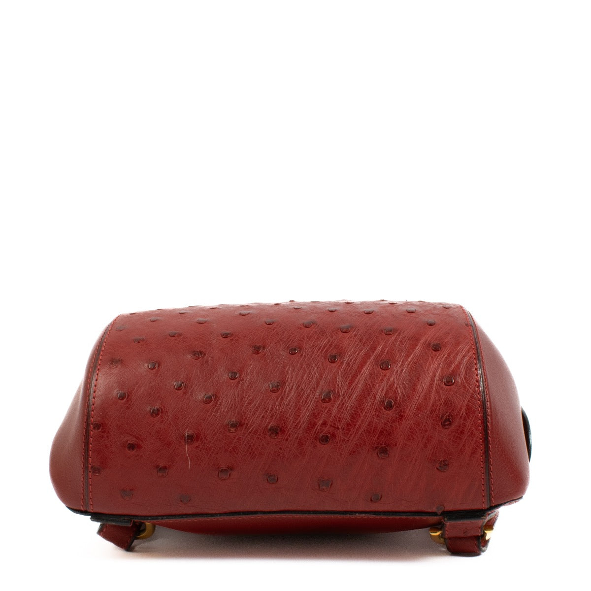 shop 100% authentic second hand Delvaux Red Ostrich Ametie Backpack on Labellov.com