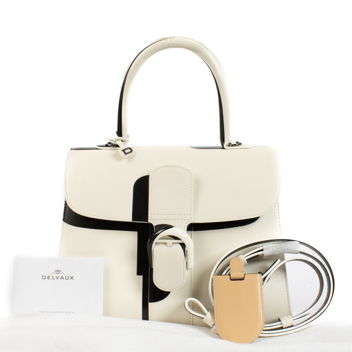 Delvaux Light And Shadow Brillant MM