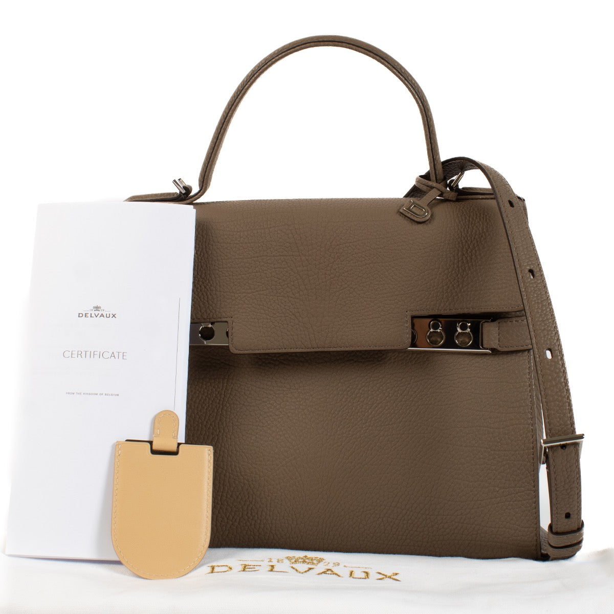 shop 100% authentic second hand Delvaux Taupe Crispy Calf Tempête MM on Labellov.com