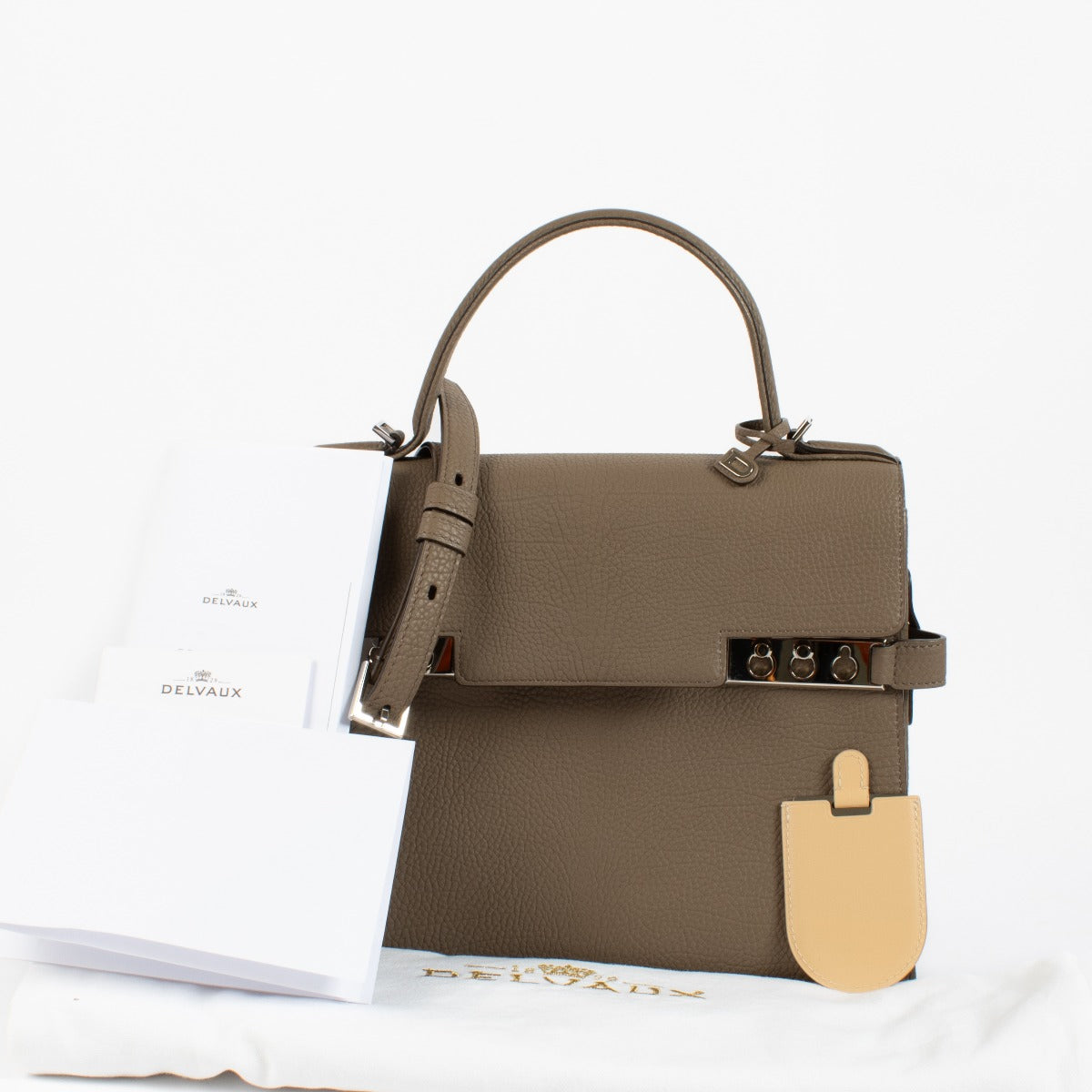shop 100% authentic second hand Delvaux Taupe Crispy Calf Tempête MM on Labellov.com