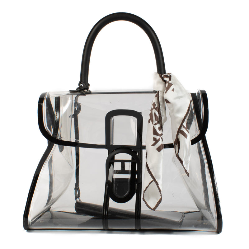 Delvaux Brillant X-Ray Bag