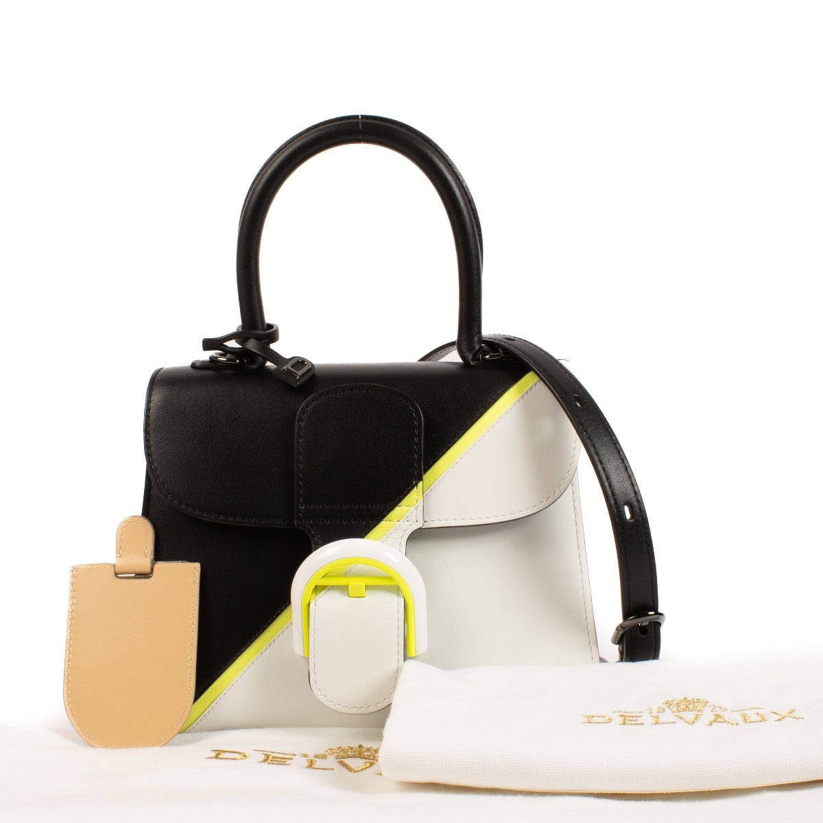 shop 100% authentic second hand Delvaux Multicolor Box Calf Brillant Mini on Labellov.com