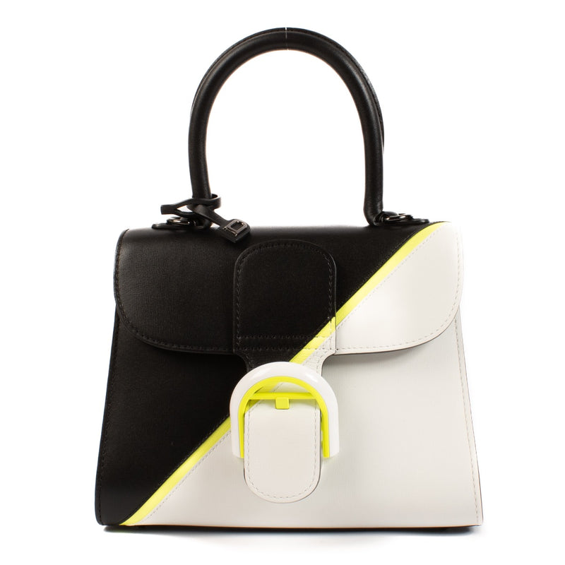 shop 100% authentic second hand Delvaux Multicolor Box Calf Brillant Mini on Labellov.com