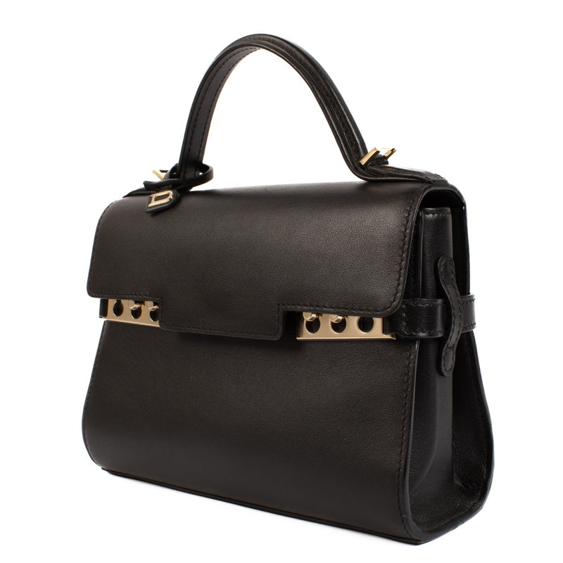 shop 100% authentic second hand Delvaux Black Calf Souple Tempête Mini on Labellov.com