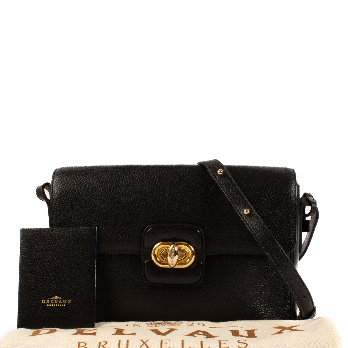 Delvaux Black Camera Bag