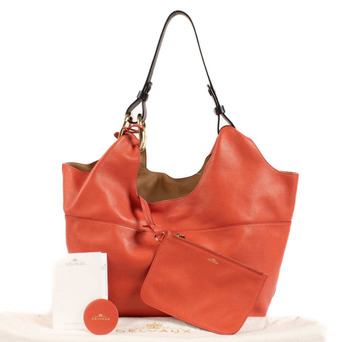 Delvaux Sunset Polo Givry With Me PM Bag