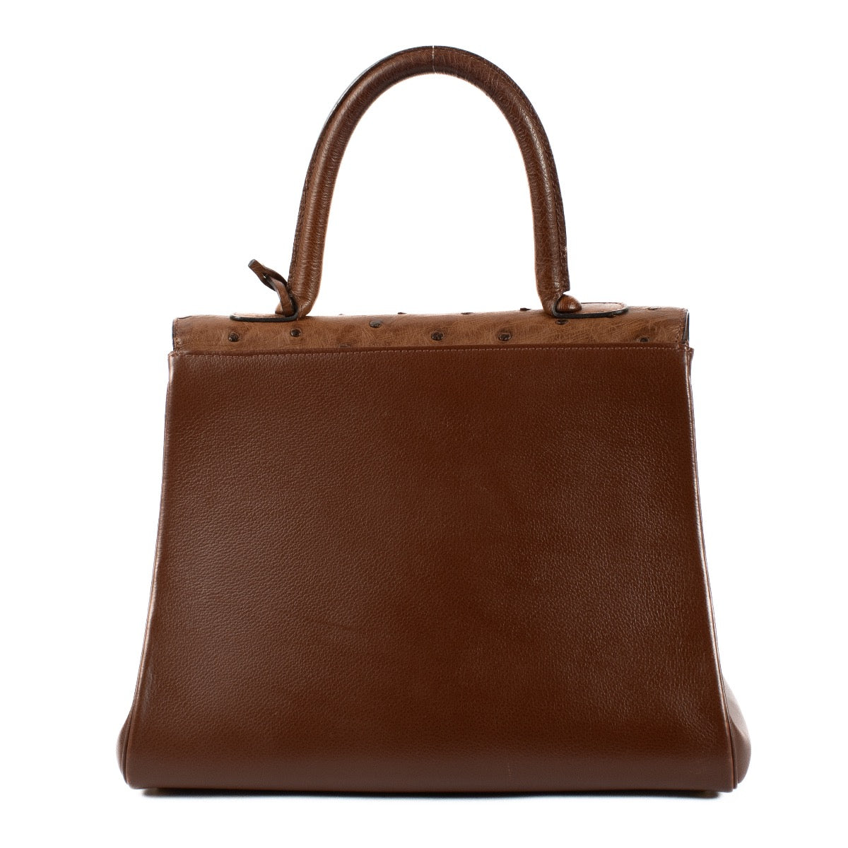 shop 100% authentic second hand Delvaux Tabac Ostrich/Jumping Brillant MM on Labellov.com