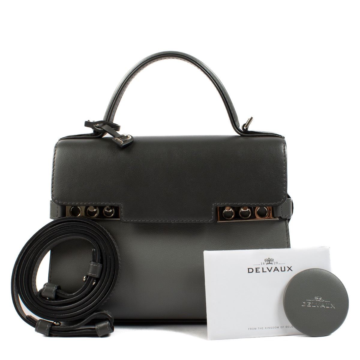 shop 100% authentic second hand Delvaux Grey Camaïeux Souple Calf Tempête Mini on Labellov.com