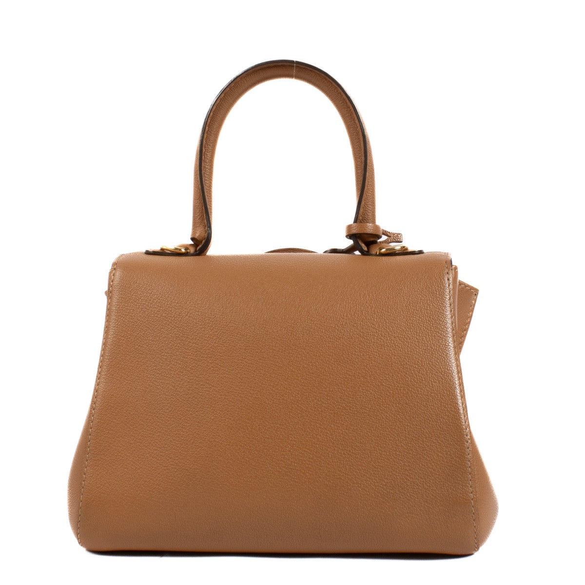 shop 100% authentic second hand Delvaux Vegetal Sellier Brillant Mini on Labellov.com