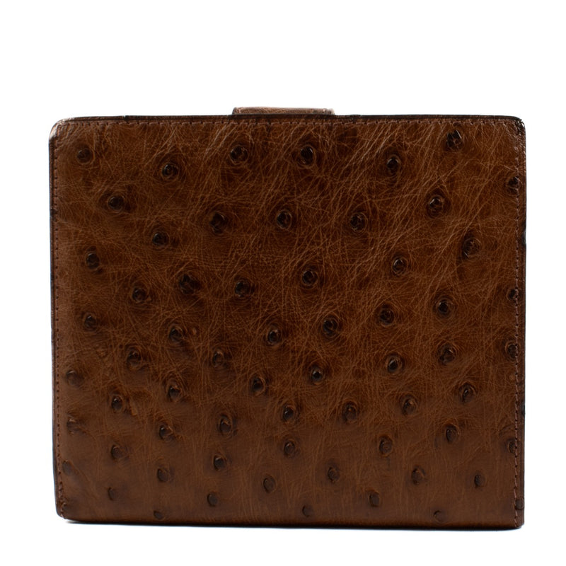 shop 100% authentic second hand Delvaux Brown Ostrich Small Wallet on Labellov.com