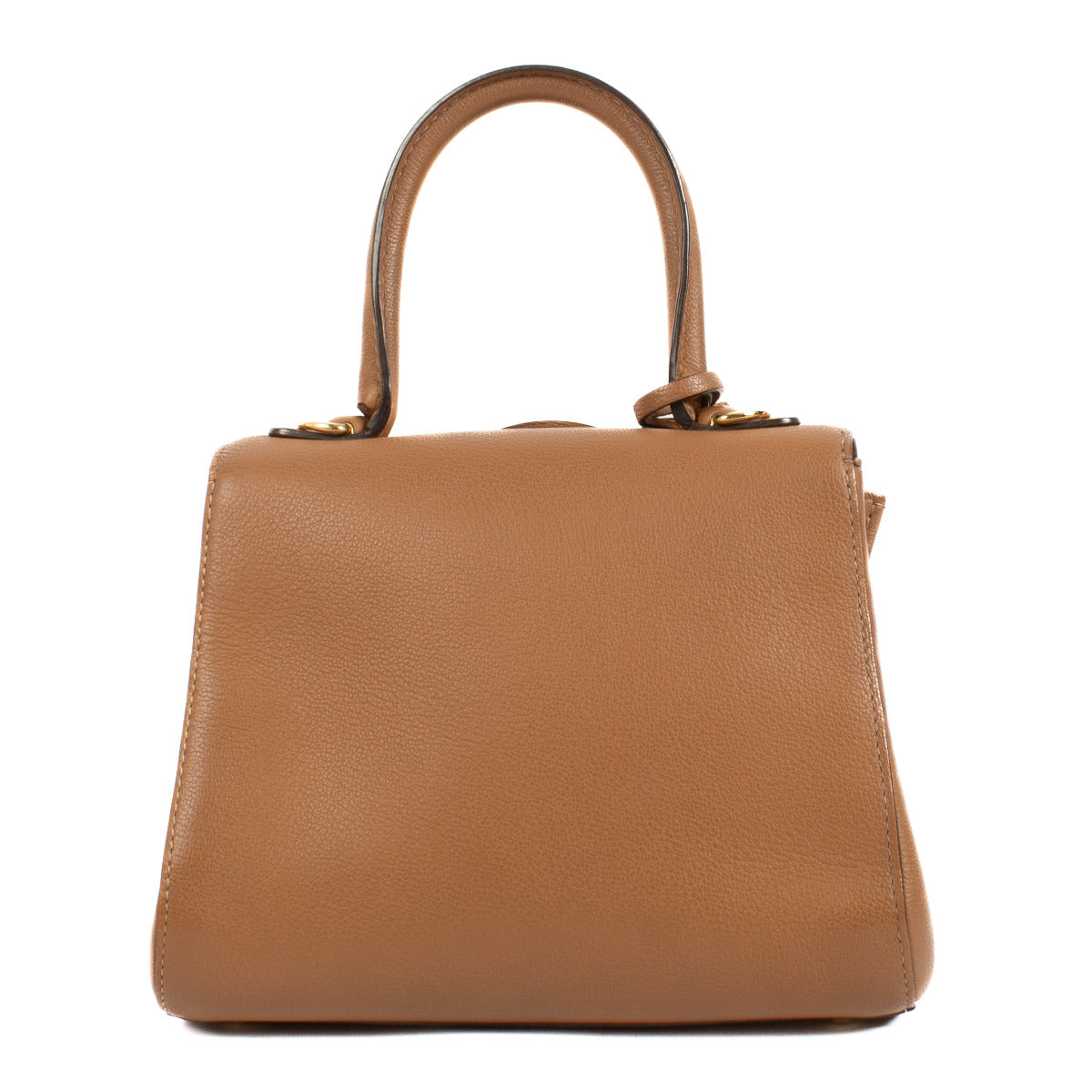 Delvaux Végétal Sellier Brillant Mini Bag