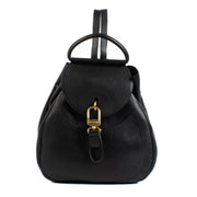 Shop 100% authentic secondhand Delvaux Blue Lucifer GM Backpack on Labellov.com