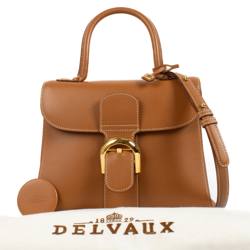 Delvaux Cognac Jumping Brillant PM + Strap