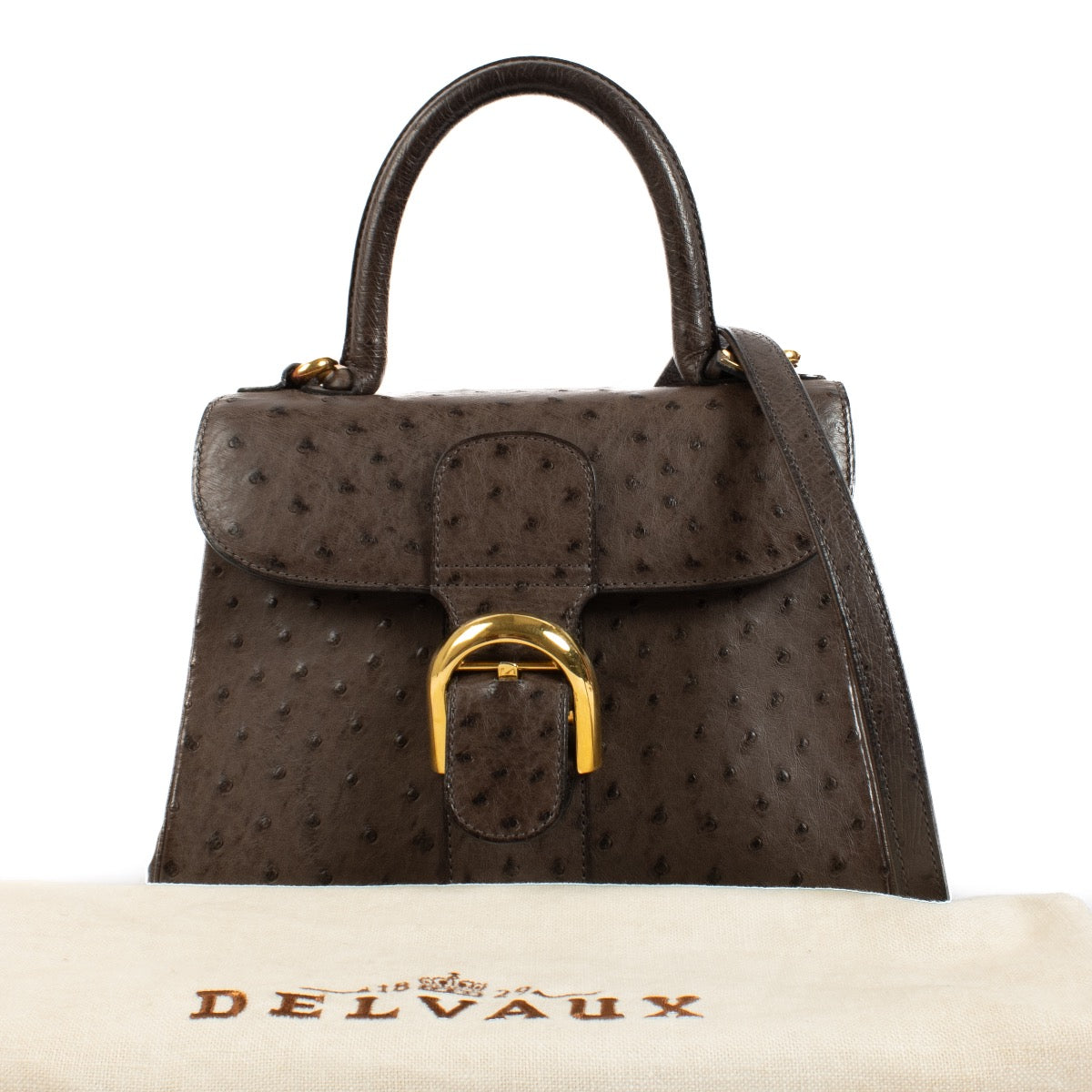 buy 100% authentic pre loved Delvaux Grey Ostrich Brillant PM on Labellov.com