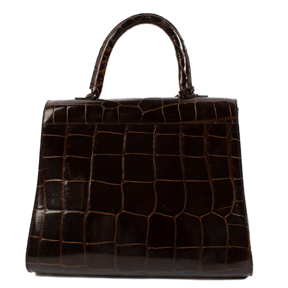 buy 100% authentic pre loved Delvaux Brown Crocodile Brillant MM on Labellov.com