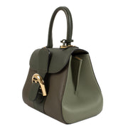 buy 100% authentic pre loved Delvaux Kaki Camaieux Brillant Mini on Labellov.com
