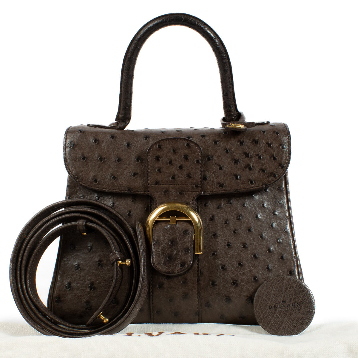 Delvaux Bruine Struisvogel Brillant PM Tas + Riem