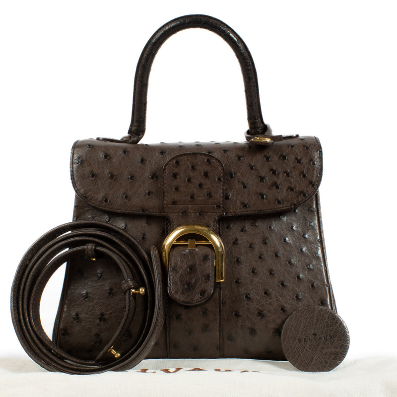 Delvaux  Brown Ostrich Brillant PM Bag + Strap