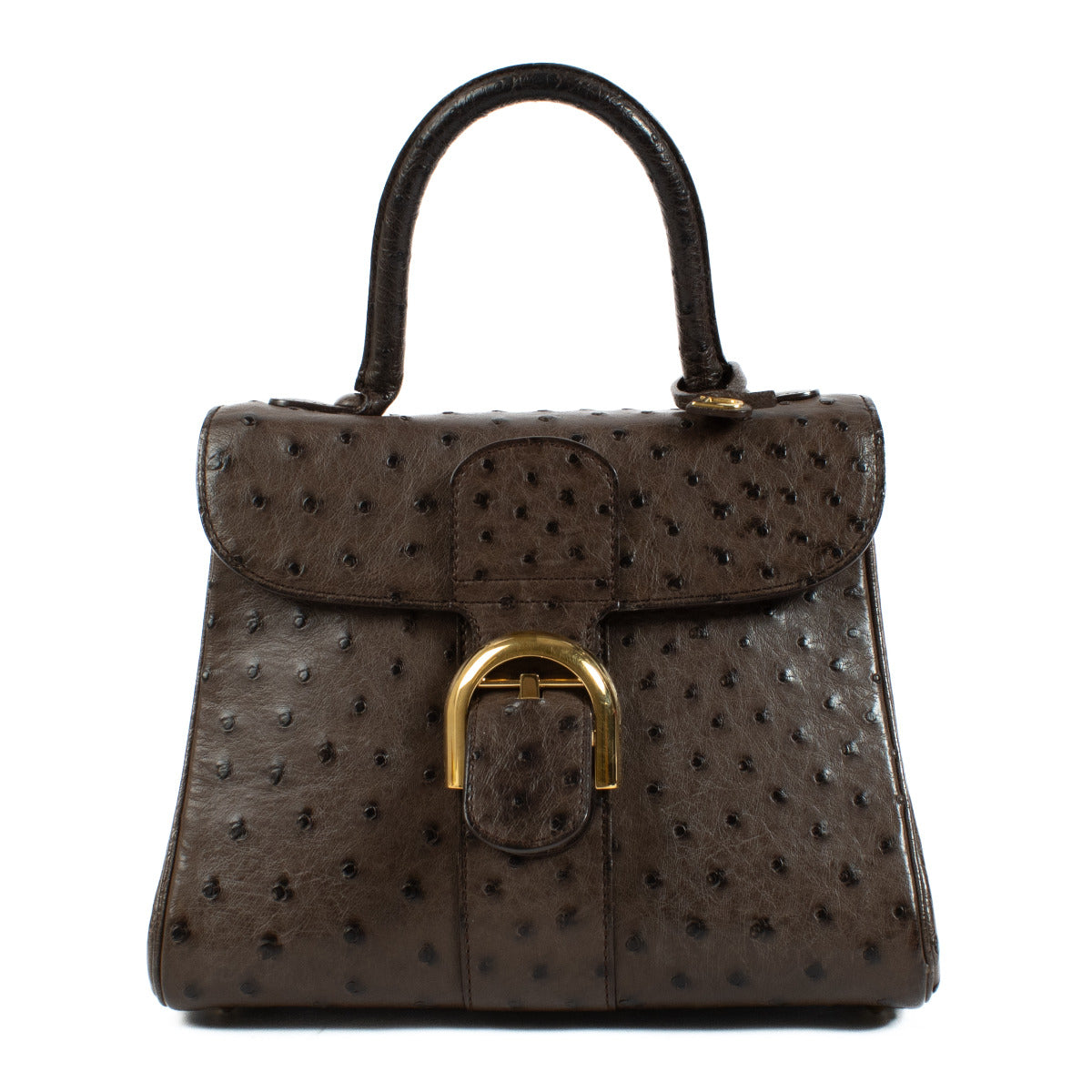 Delvaux Brown Ostrich Brillant PM Bag + Strap