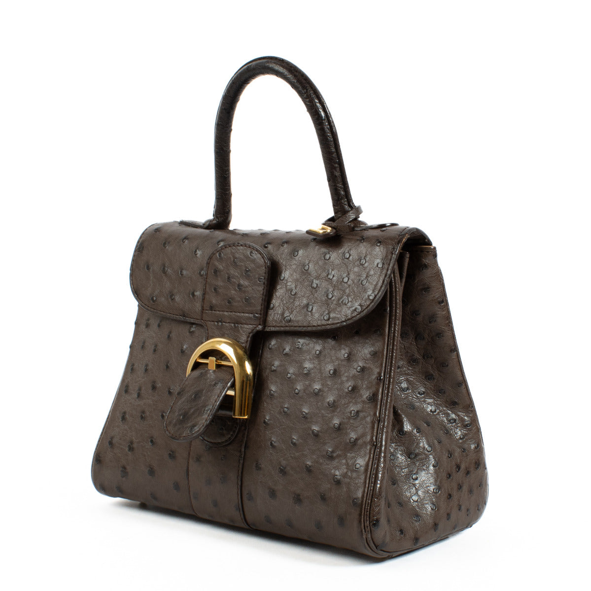 Delvaux Bruine Struisvogel Brillant PM Tas + Riem