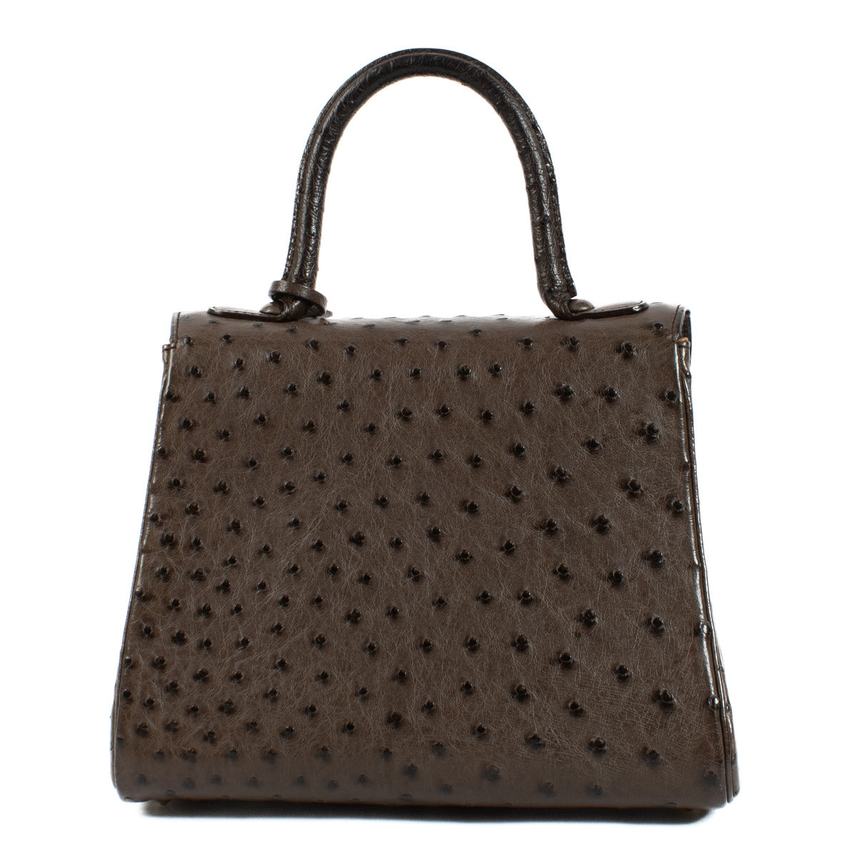 Delvaux Bruine Struisvogel Brillant PM Tas + Riem