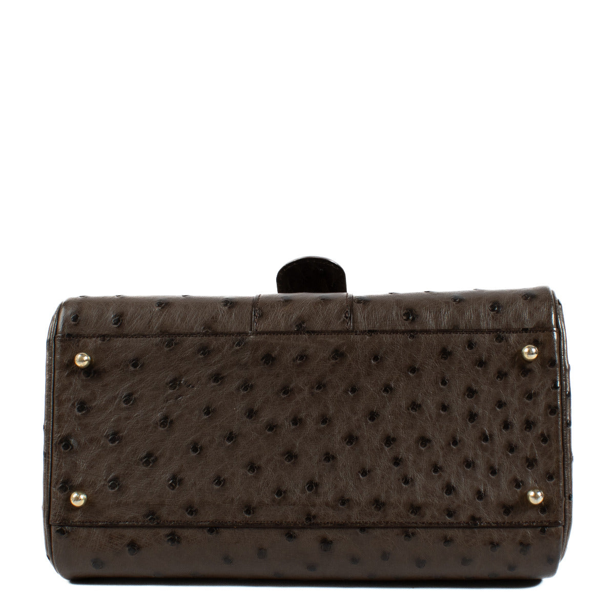 Delvaux Bruine Struisvogel Brillant PM Tas + Riem