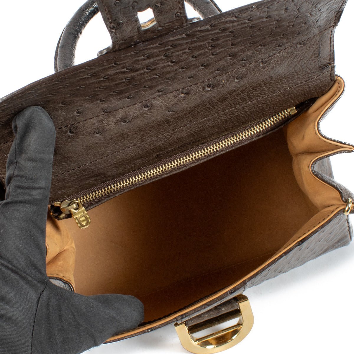 Delvaux Bruine Struisvogel Brillant PM Tas + Riem