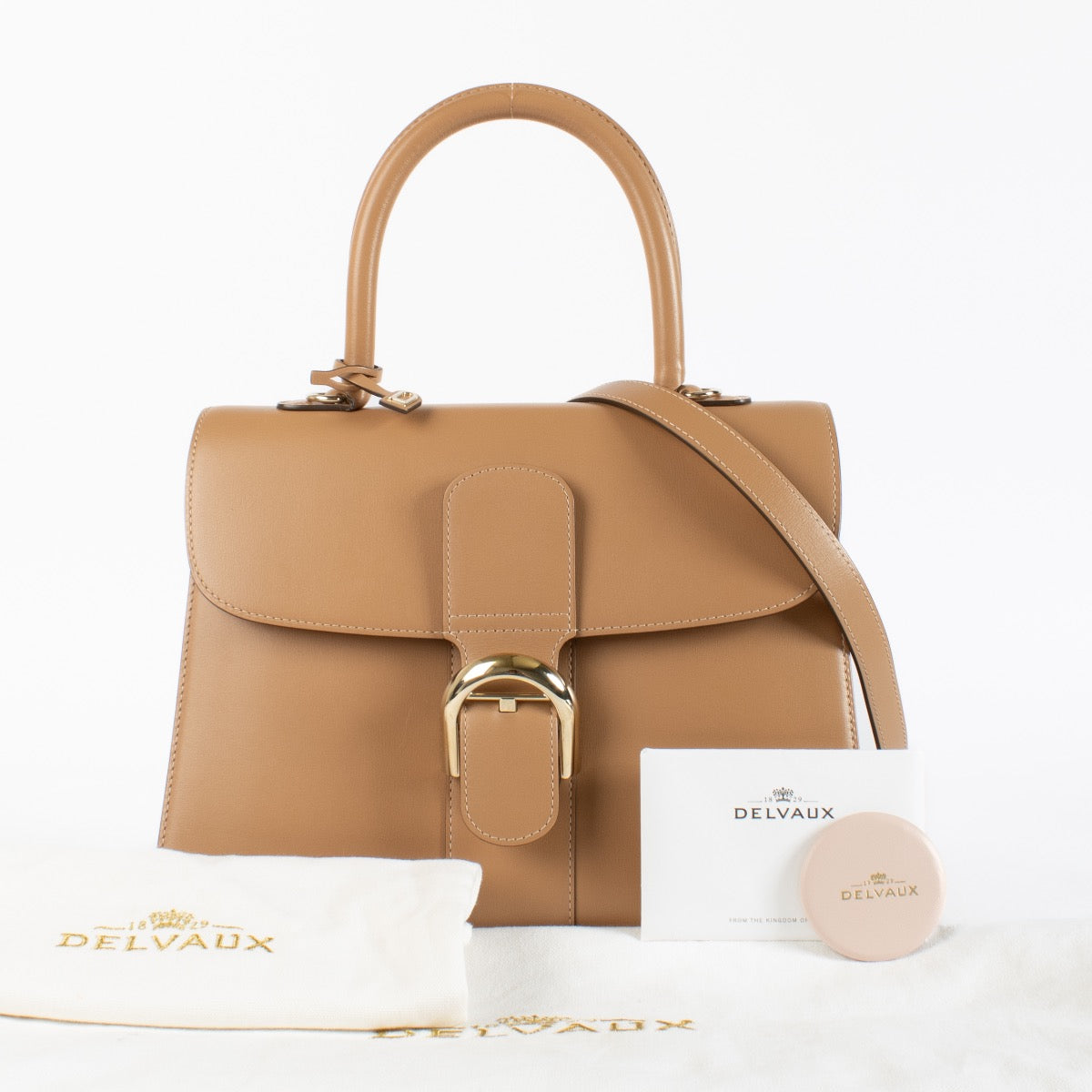 shop 100% authentic second hand Delvaux Camaïeux Vison Box Calf Brillant MM Magic on Labellov.com