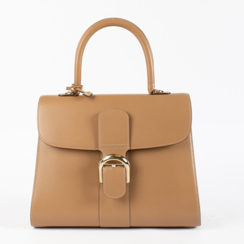 shop 100% authentic second hand Delvaux Camaïeux Vison Box Calf Brillant MM Magic on Labellov.com
