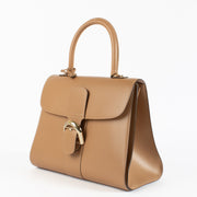 shop 100% authentic second hand Delvaux Camaïeux Vison Box Calf Brillant MM Magic on Labellov.com