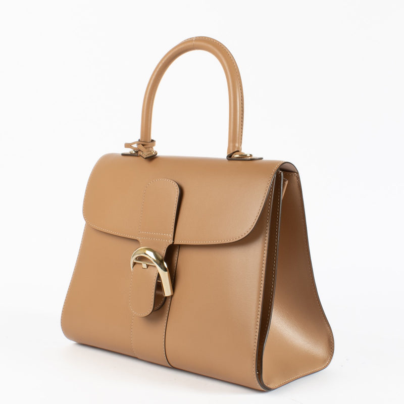 shop 100% authentic second hand Delvaux Camaïeux Vison Box Calf Brillant MM Magic on Labellov.com