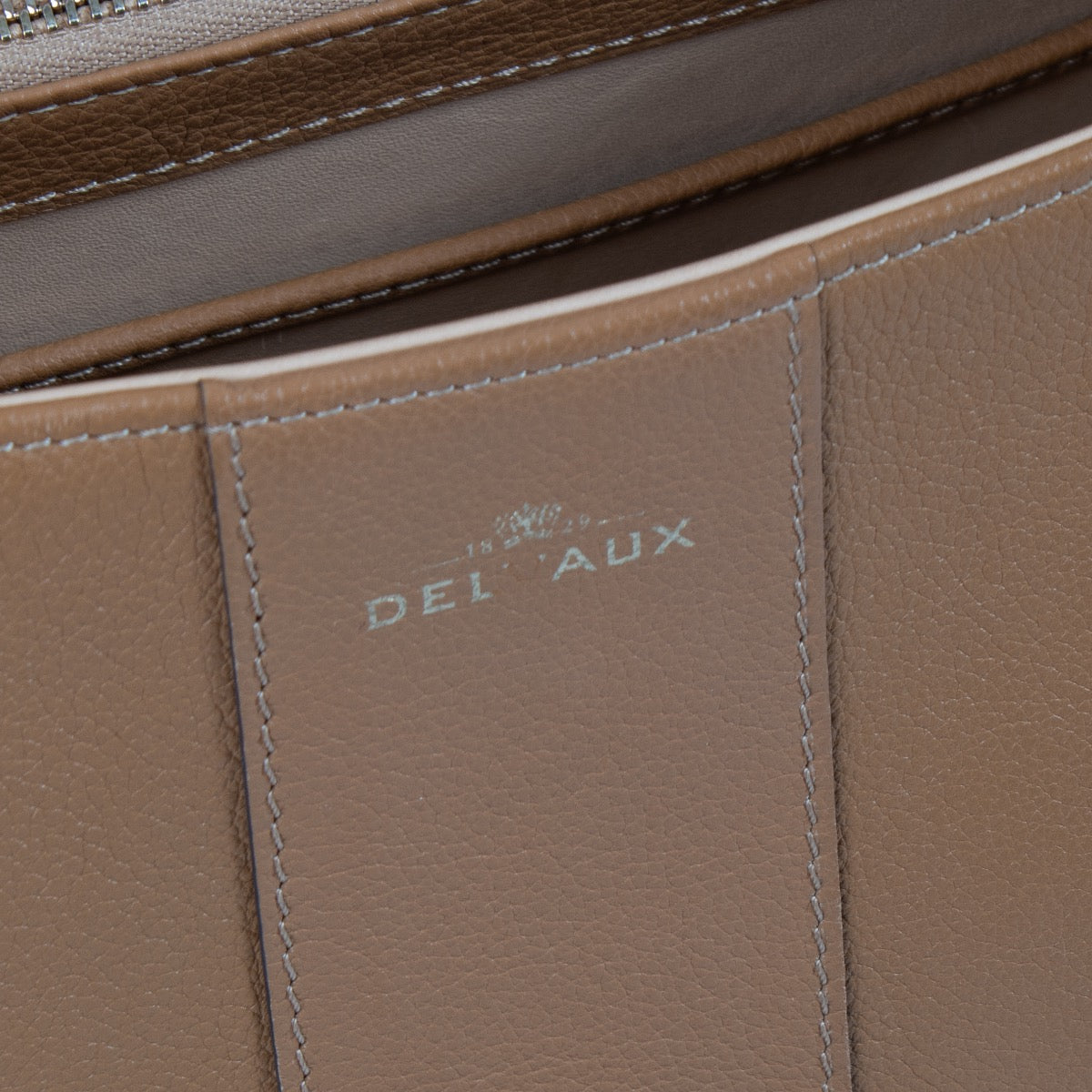 Authentic second hand Delvaux Vegetal Sellier Brillant MM on Labellov.com