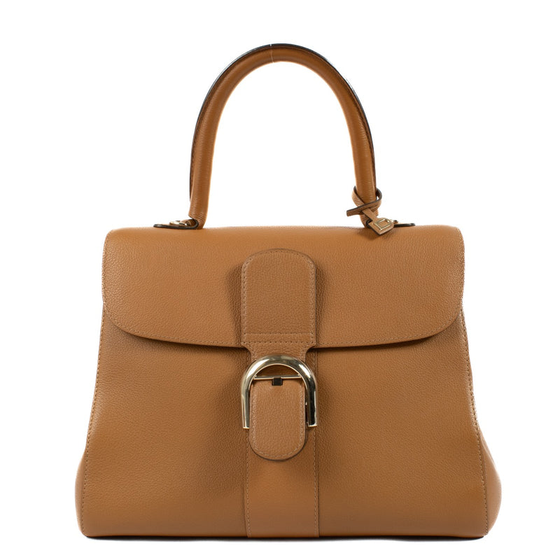 Authentic second hand Delvaux Vegetal Sellier Brillant MM on Labellov.com
