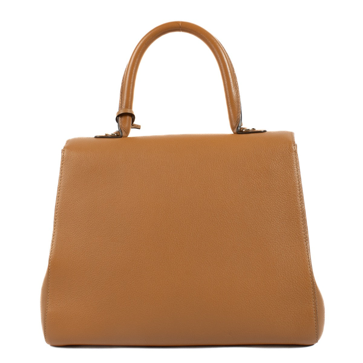 Authentic second hand Delvaux Vegetal Sellier Brillant MM on Labellov.com