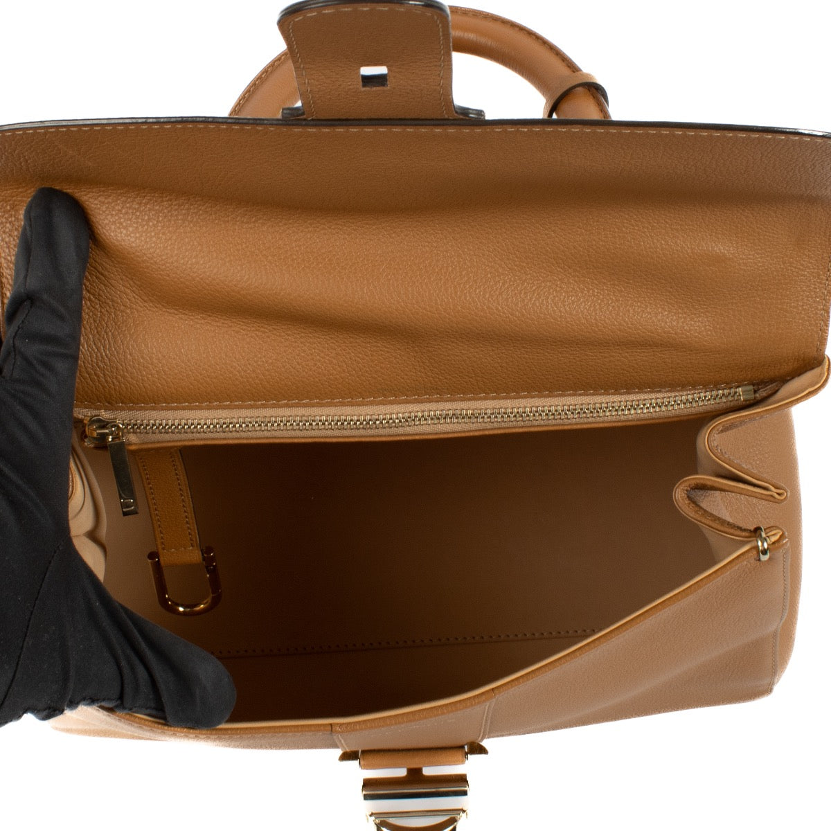 Authentic second hand Delvaux Vegetal Sellier Brillant MM on Labellov.com