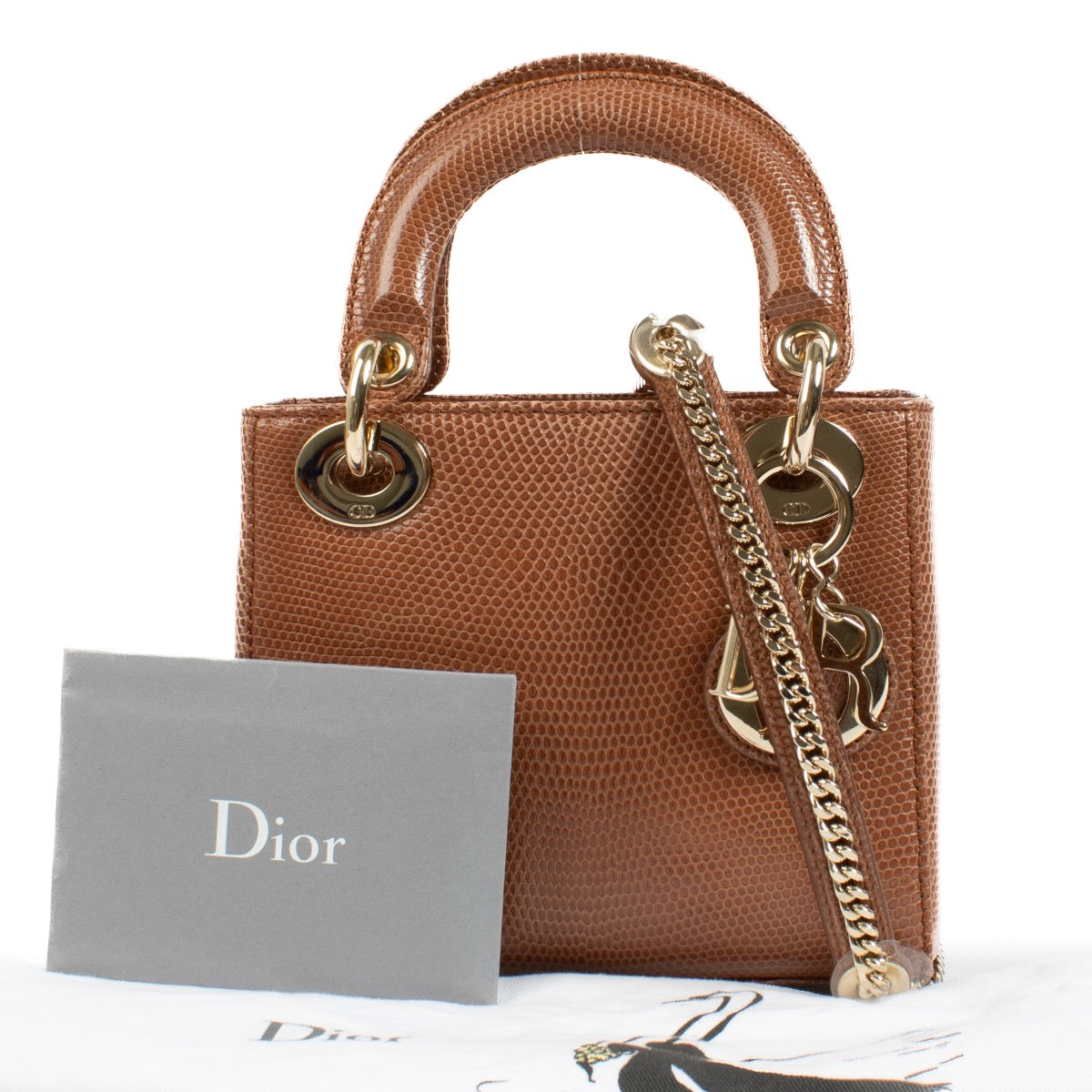 Authentic second hand Christian Dior Lizard Mini Lady Dior on Labellov.com