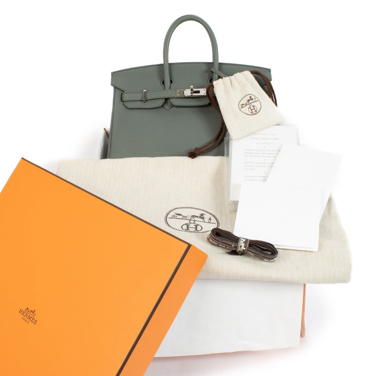 Hermès Birkin 25 Vert Amande Togo PHW